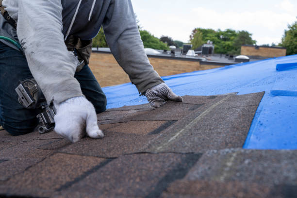 Best Metal Roofing Contractor  in Silver Springs, NV